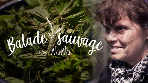 Affiche de l'épisode Balade sauvage avec Wawa